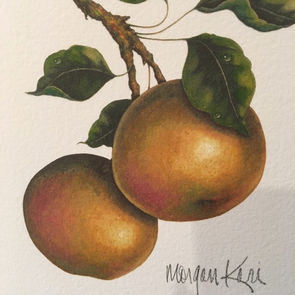 NYISSEKI Asian Pear small Giclee print - Picture 5 of 5